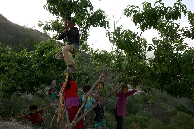 Full Day Bhaktapur Durbar Square and Nagarkot Sunset Tour - Common Questions