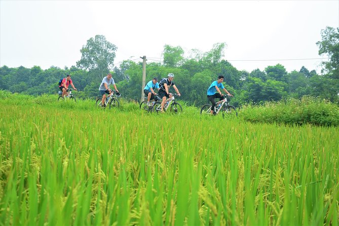 Full Day Bicycle Tour Hanoi Countryside To Co Loa Villages - Bicycle Tours Hanoi - Common Questions