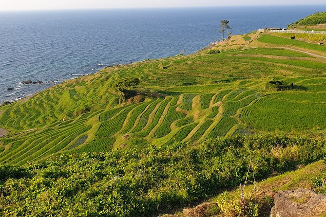 Full-Day Bicycle Tour on the Noto Peninsula - Start and End Time