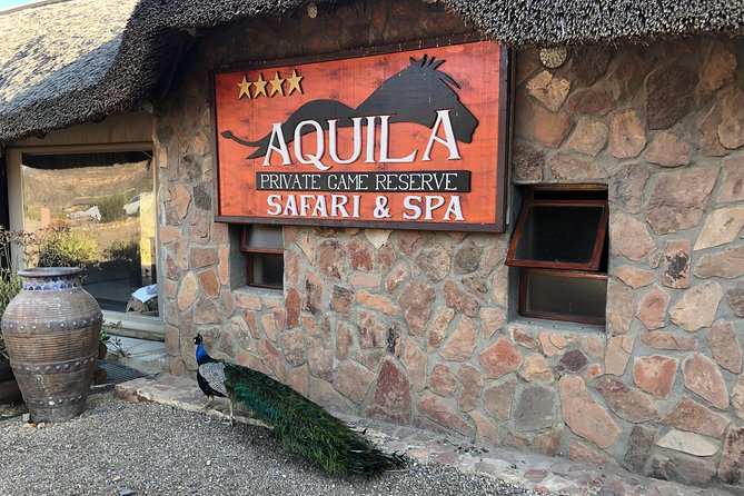 Full Day Big 5 Aquila Safari Private Transfers Including Park Fee From Cape Town - The Sum Up