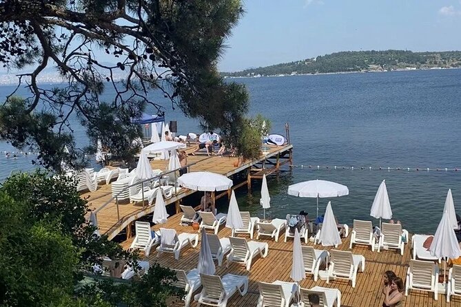 Full Day Big Island Tour in Istanbul With Lunch - Tour Highlights