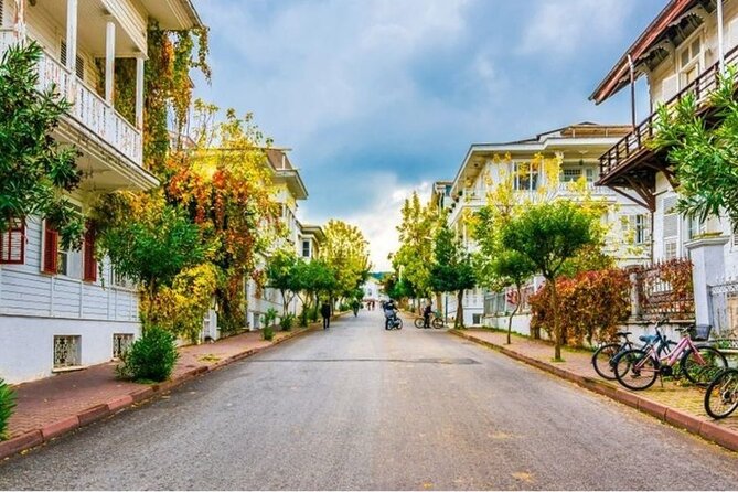 Full Day Big Island Tour in Istanbul With Lunch - Common Questions