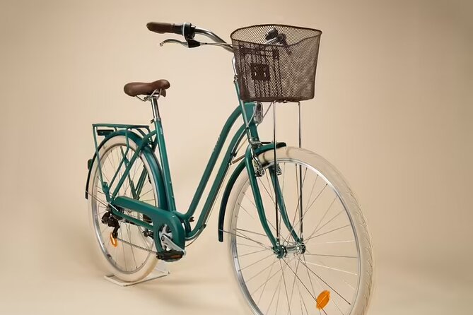 Full Day Bike Rent in Valencia - Experience Highlights