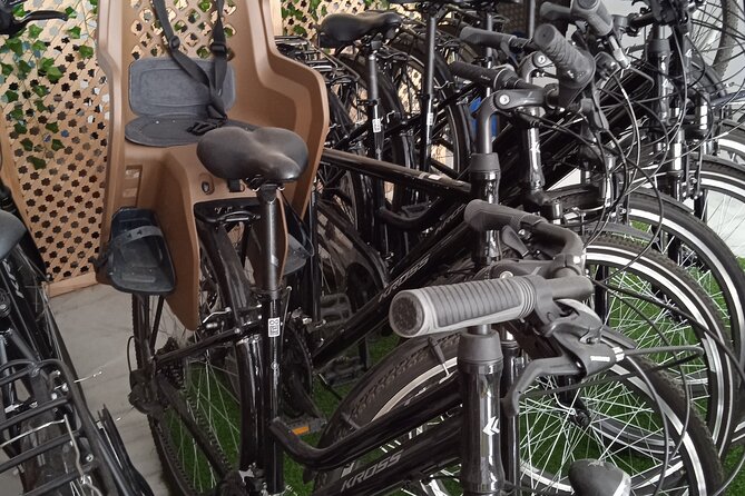 Full Day Bike Rental in Seville - Infant Seat Availability