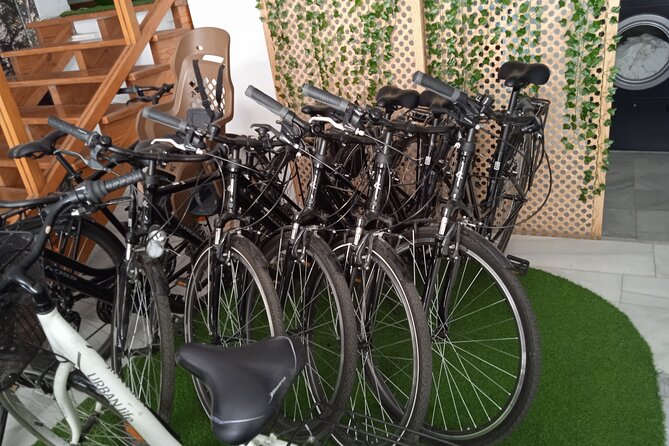 Full Day Bike Rental in Seville - Reviews and Ratings