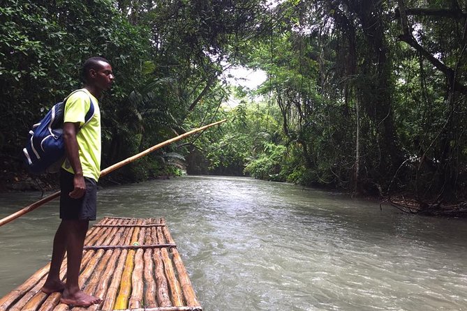 Full-Day Blue Hole and Zipline Private Tour From Falmouth - Pricing Details