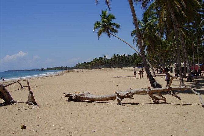 Full-Day Blue Lagoon Tour in Dominican Republic - What to Expect from the Itinerary