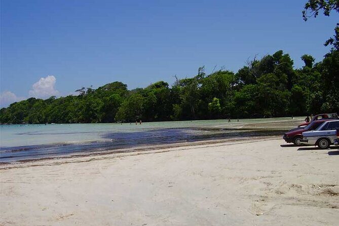 Full-Day Blue Lagoon Tour in Dominican Republic - Authentic Traveler Experiences