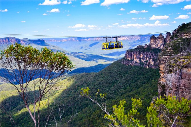 Full Day Blue Mountains Tour From Sydney in SUV - Reviews and Ratings