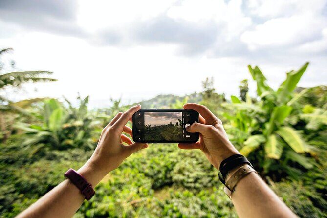 Full Day Blue Mountains Tour including Lunch - Final Thoughts