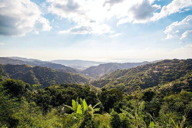Full Day Blue Mountains Tour Including Lunch - Booking Process and Details