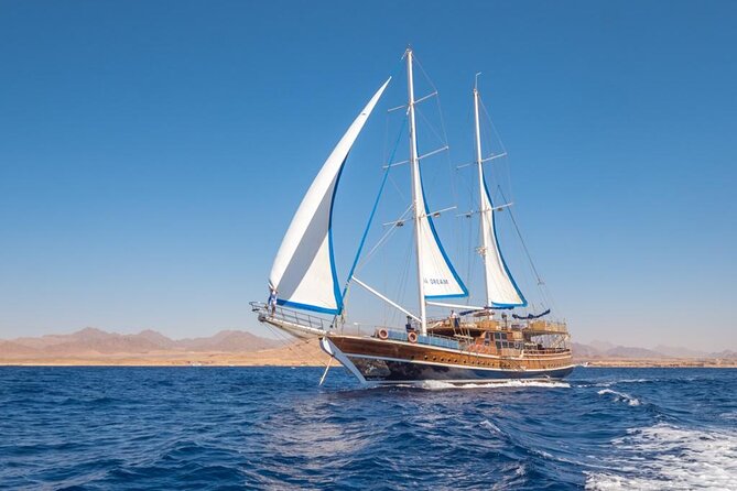 Full Day Boat Charter Rental in Sharm El Sheikh - Charter Details