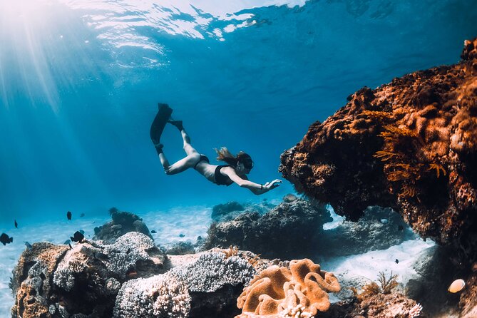 Full Day Boat Tour, Blue Lagoon and ŠOlta With Lunch&Drinks - Whats Included
