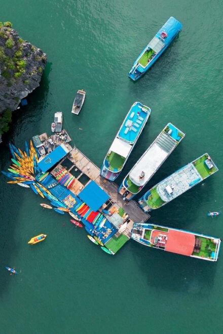Full Day Boat Tour in Cat Ba Archipelago & Lan Ha Bay - Included Services