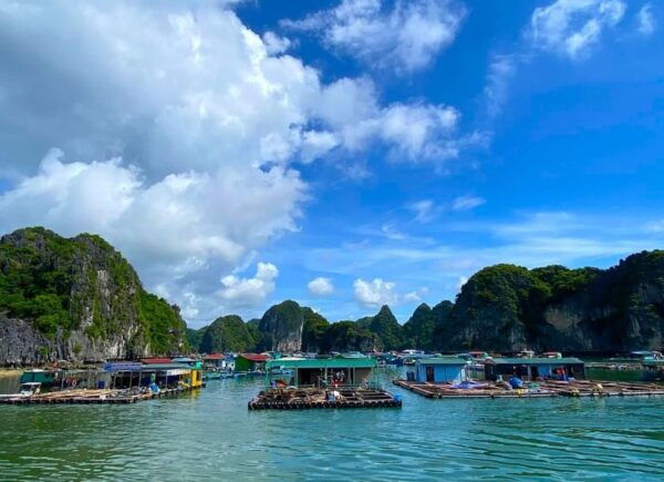 Full Day Boat Tour in Cat Ba Archipelago & Lan Ha Bay - Tips for a Great Experience