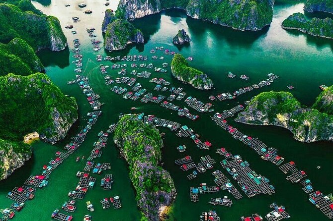 Full Day Boat Tour in Halong Bay, Cat Ba Archipelago & Lan Ha Bay - Additional Information