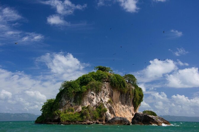 Full-Day Boat Tour of Los Haitises National Park - Tour Overview