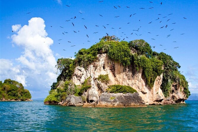 Full-Day Boat Tour of Los Haitises National Park - Itinerary Highlights