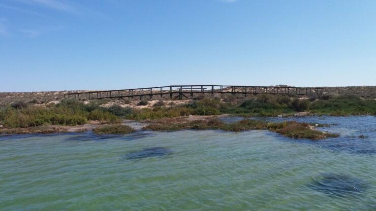 Full Day Boat Tour: Ria Formosa and Faro Islands 3 Stops - Detailed Itinerary and Booking Information