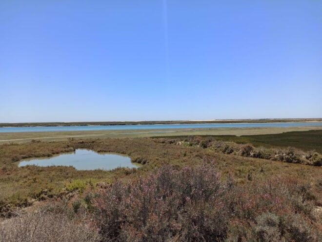 Full Day Boat Tour: Ria Formosa and Faro Islands 3 Stops - The Sum Up