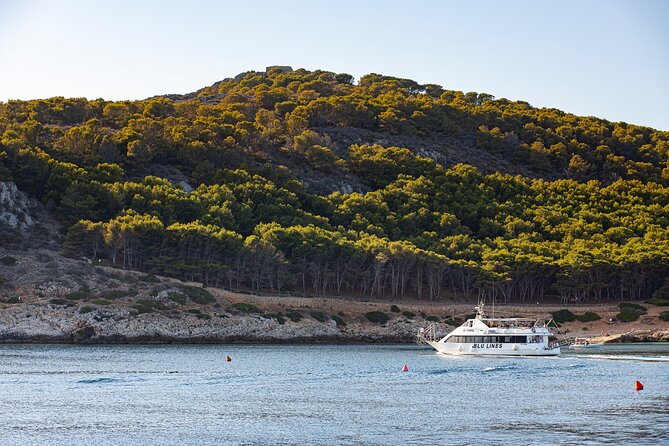Full Day Boat Tour to the Egadi Islands - Snorkeling and Swimming Opportunities