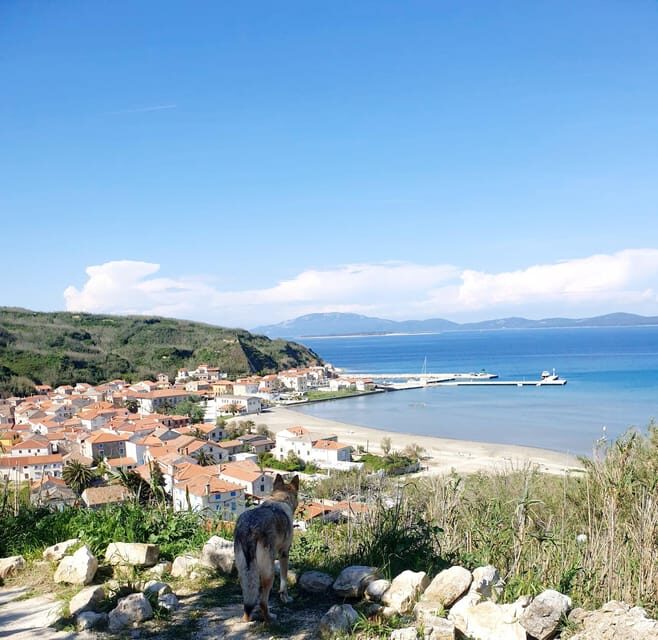 Full day boat-trip Medulin, blue Cave, Cres + dolphin search - FAQ