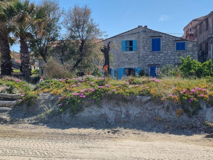 Full day boat-trip Medulin, blue Cave, Cres + dolphin search - Final Thoughts