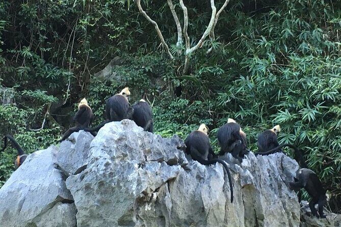 Full day boat trip to Lan Ha bay Ha Long bay and Monkey island - FAQs