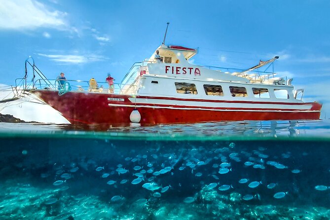 Full Day Boat Trip With Lunch - Reviews and Ratings