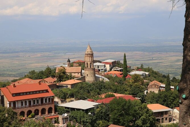 Full Day Bodbe Sighnaghi and Telavi Wine Tasting Tour - Cancellation Policy