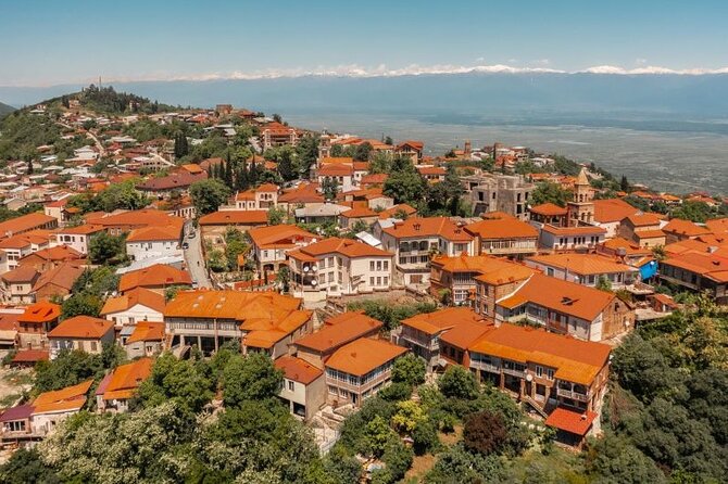 Full Day Bodbe Sighnaghi and Telavi Wine Tasting Tour - Additional Details