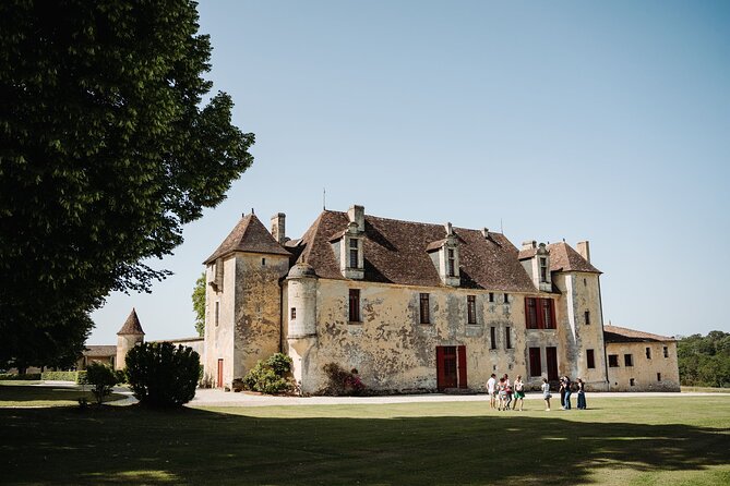 Full-Day Bordeaux Wine Experience With Lunch and Tastings - Additional Information