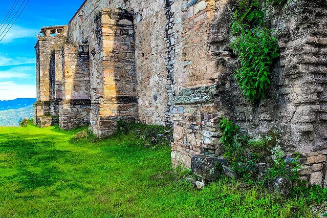 Full Day Bromeliad Forest Tour from Oaxaca - Authentic Experiences & Personal Touches