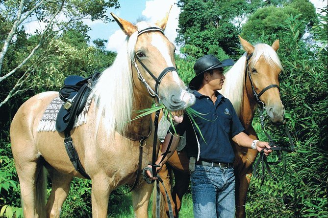Full-Day Bukit Tinggi French Village Tour - Directions
