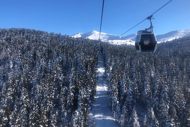 Full-Day Bursa and Uludağ Mountain Tour From Istanbul - Pricing and Booking Details