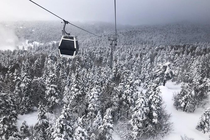 Full-Day Bursa and Uludağ Mountain Tour From Istanbul - Common Questions