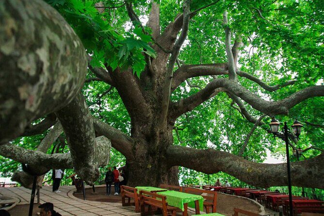 Full Day Bursa Tour from Istanbul(with cable car) - What the Reviews Say