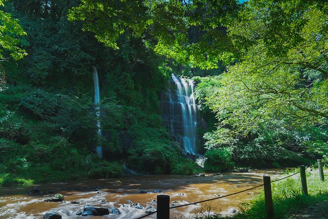 Full-Day Bus Tour on Local Area in Mt. Fuji - Additional Information and Contact Details