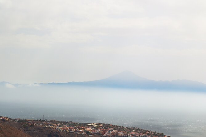Full-Day Bus Tour to La Gomera Island With Professional Guide - Lunch Included - Negative Feedback