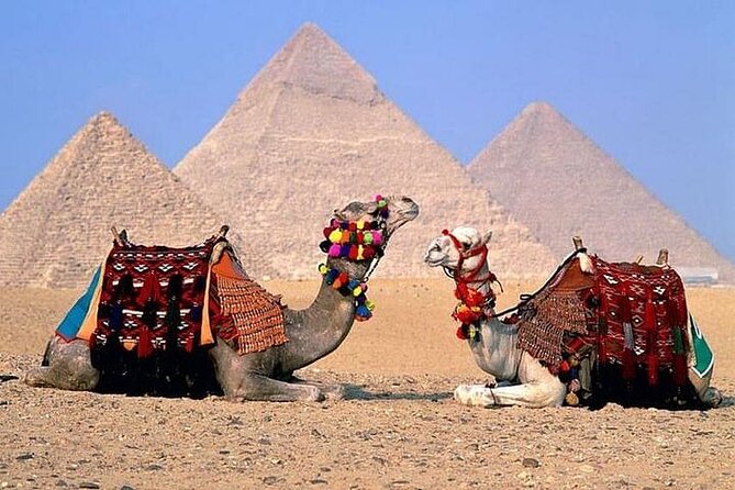 Full Day Bus Trip to See the Sphinx and Pyramids From Sharm - Booking Process