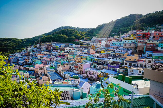Full Day Busan and Gyeongju Guided Tour - Cancellation Policy