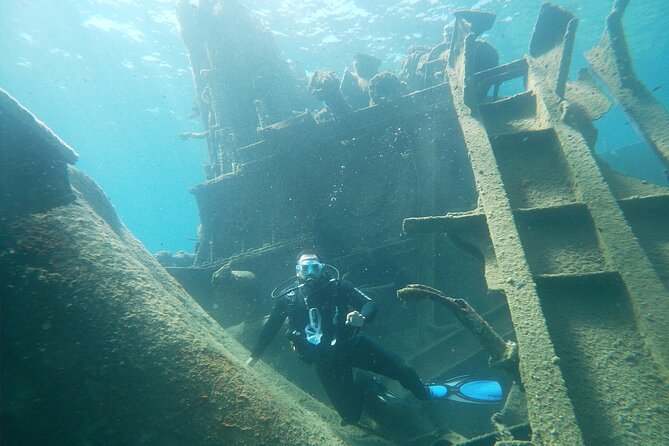 Full-Day Byron Shipwreck Dive for Certified Divers With Lunch - Cancellation Policy