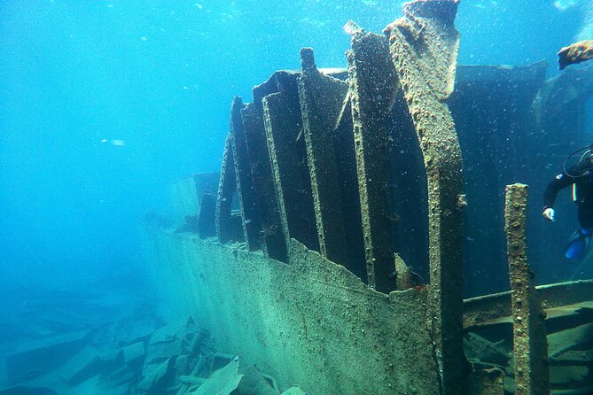 Full-Day Byron Shipwreck Dive for Certified Divers With Lunch - Additional Information
