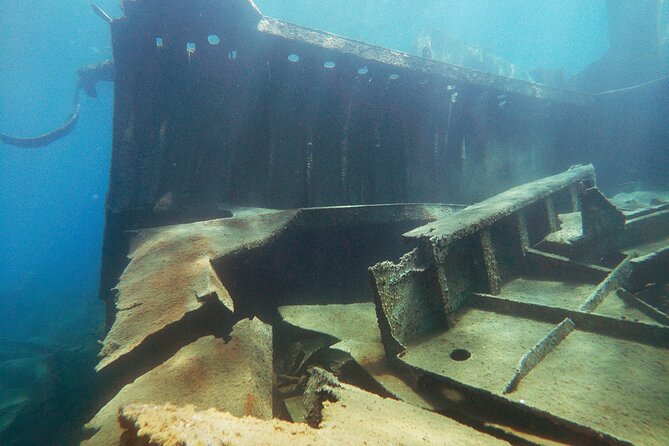 Full-Day Byron Shipwreck Dive for Certified Divers With Lunch - Pricing