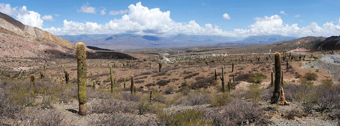 Full-Day Cachi and Los Cardones National Park From Salta - Tour Overview and Highlights