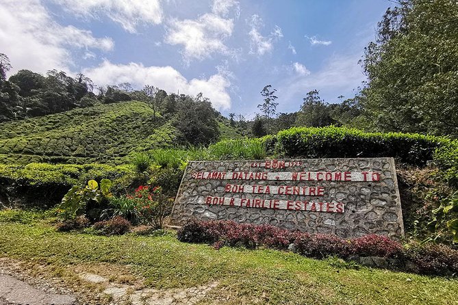 Full-Day Cameron Highlands & Batu Caves Tour - Tour Itinerary