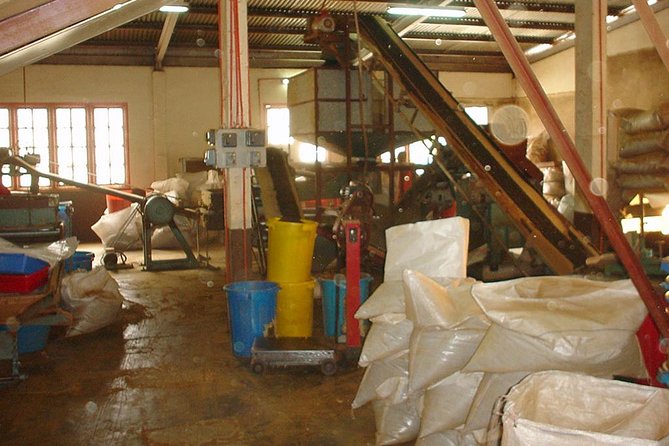 Full-Day Cameron Highlands Day Trip From Kuala Lumpur - Important Reminders