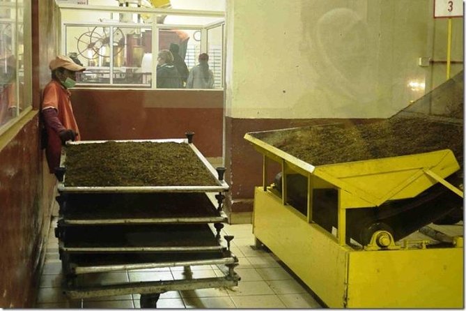 Full-Day Cameron Highlands Day Trip From Kuala Lumpur - Frequently Asked Questions