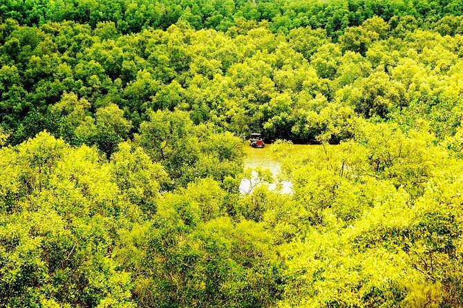 Full-Day Can Gio Mangrove Private Guided Forest Exploration - Biodiversity in Can Gio Mangrove Forest