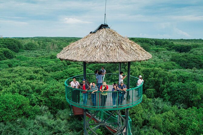 Full-Day Can Gio Mangrove Private Guided Forest Exploration - Wildlife Spotting in Can Gio Mangrove Forest
